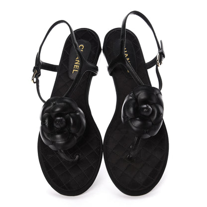 Chanel Lambskin Camellia Thong Sandals 38.5 Black 7 of 18