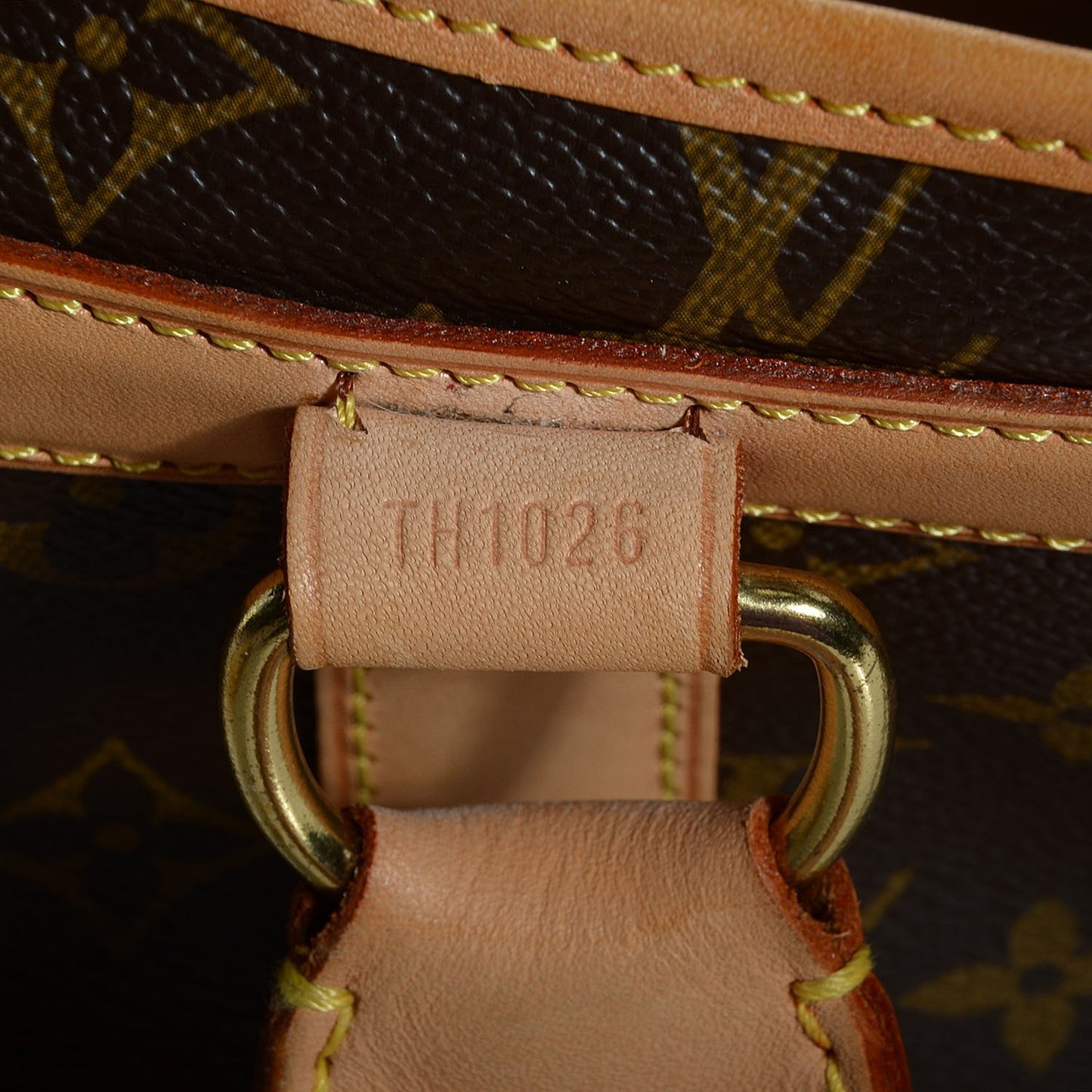 Monogram Sac Chien 40 Pet Carrier