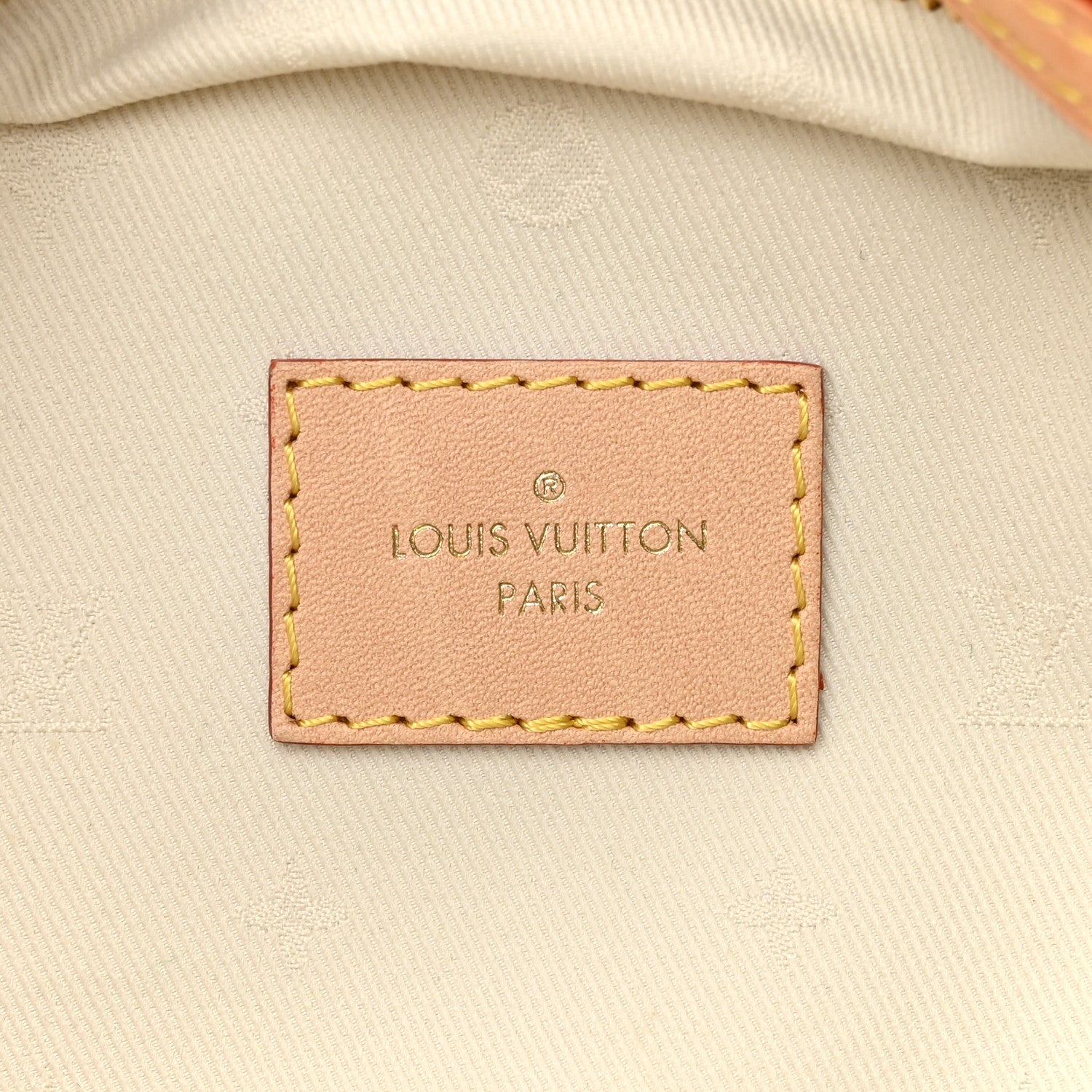 Louis Vuitton Monogram High Rise Bumbag 6 of 9