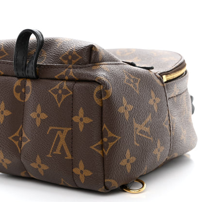 Louis Vuitton Monogram Palm Springs Backpack Mini 11 of 17