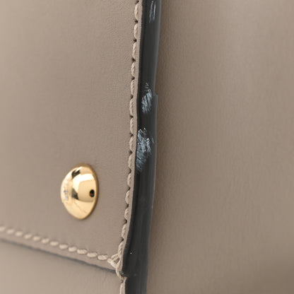 Fendi Vitello Seta Plexiglass Tortoise Medium Peekaboo Iconic Satchel Tortora 11 of 11