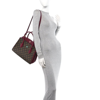 Louis Vuitton Monogram Florine Raisin 2 of 10