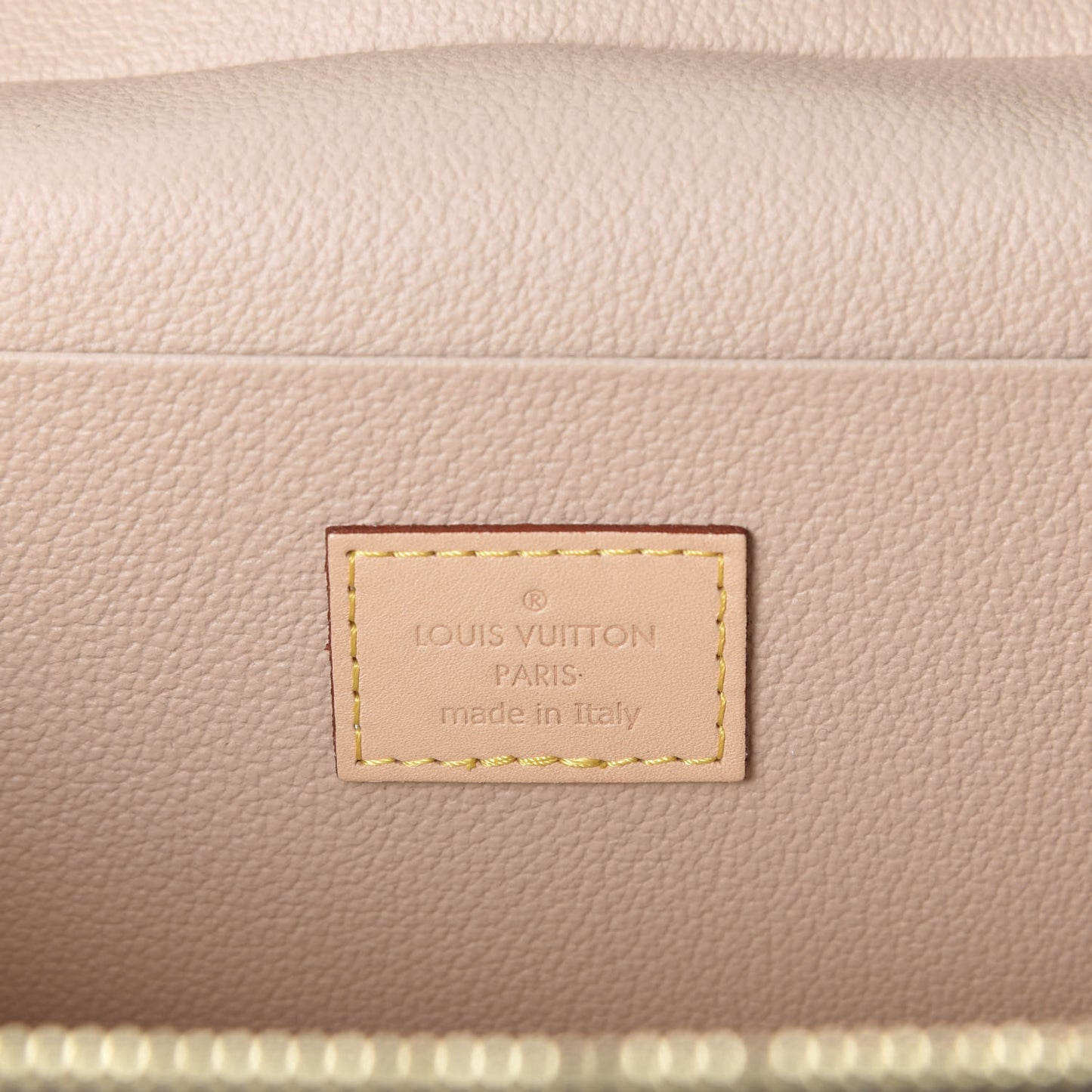 Monogram Nice Mini