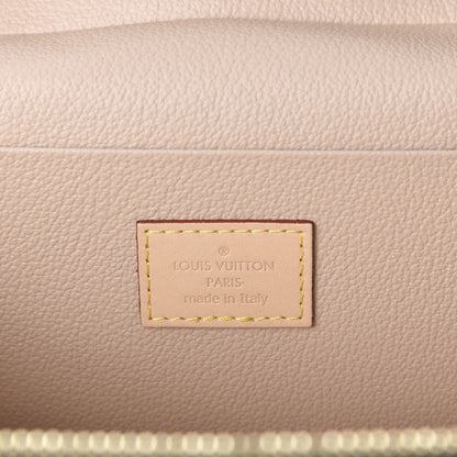 Louis Vuitton Monogram Nice Mini 8 of 9
