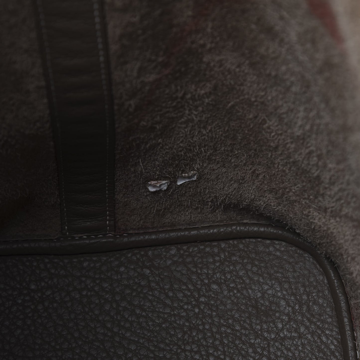 Taurillon Clemence Picotin TGM Etoupe