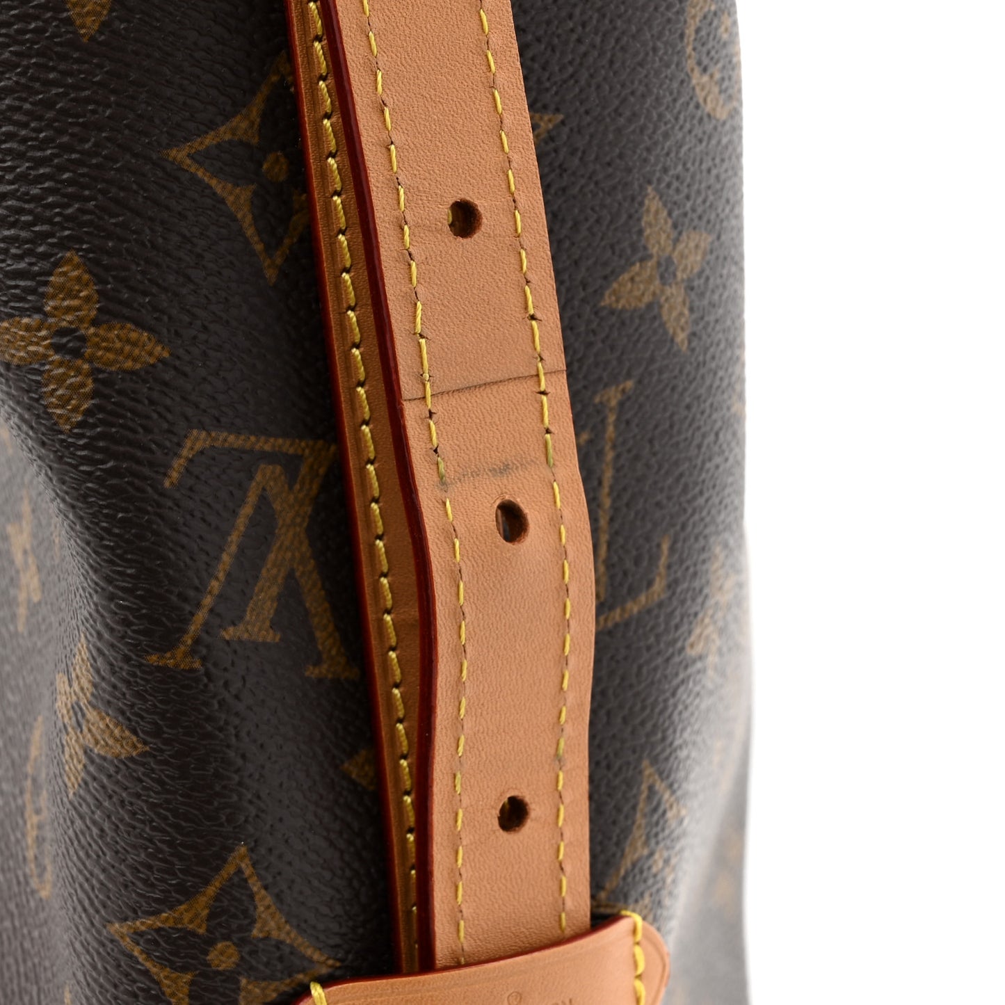 Monogram CarryAll PM