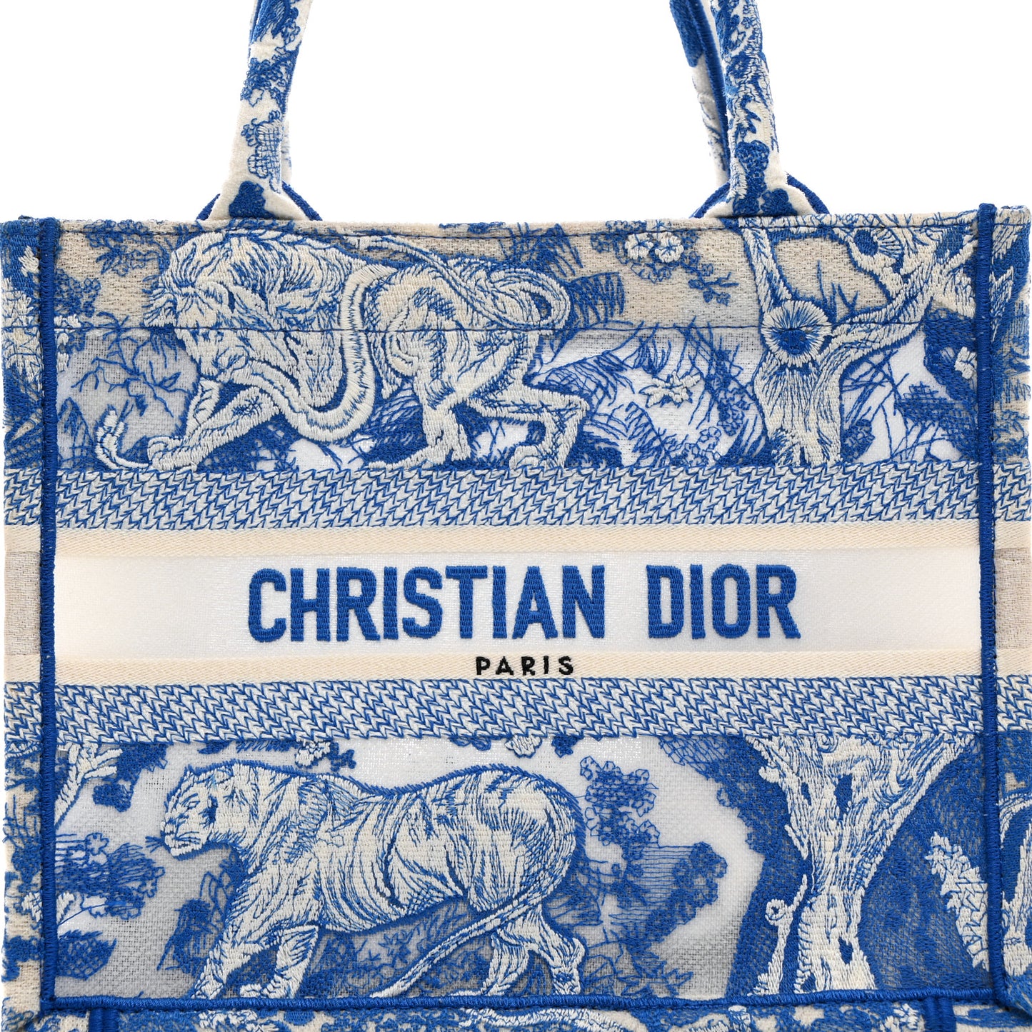 Transparent Canvas Embroidered Small Toile De Jouy Reverse Book Tote Fluorescent Blue