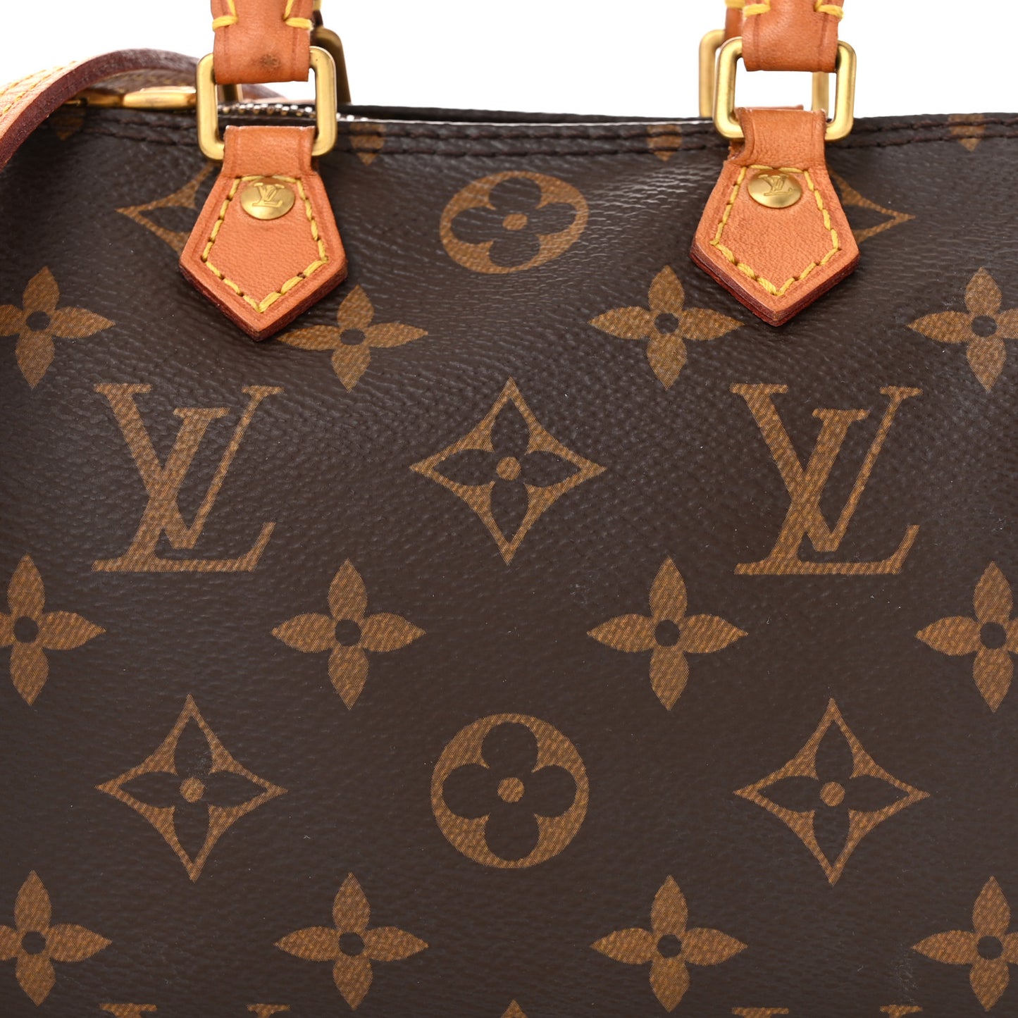 Monogram Nano Speedy