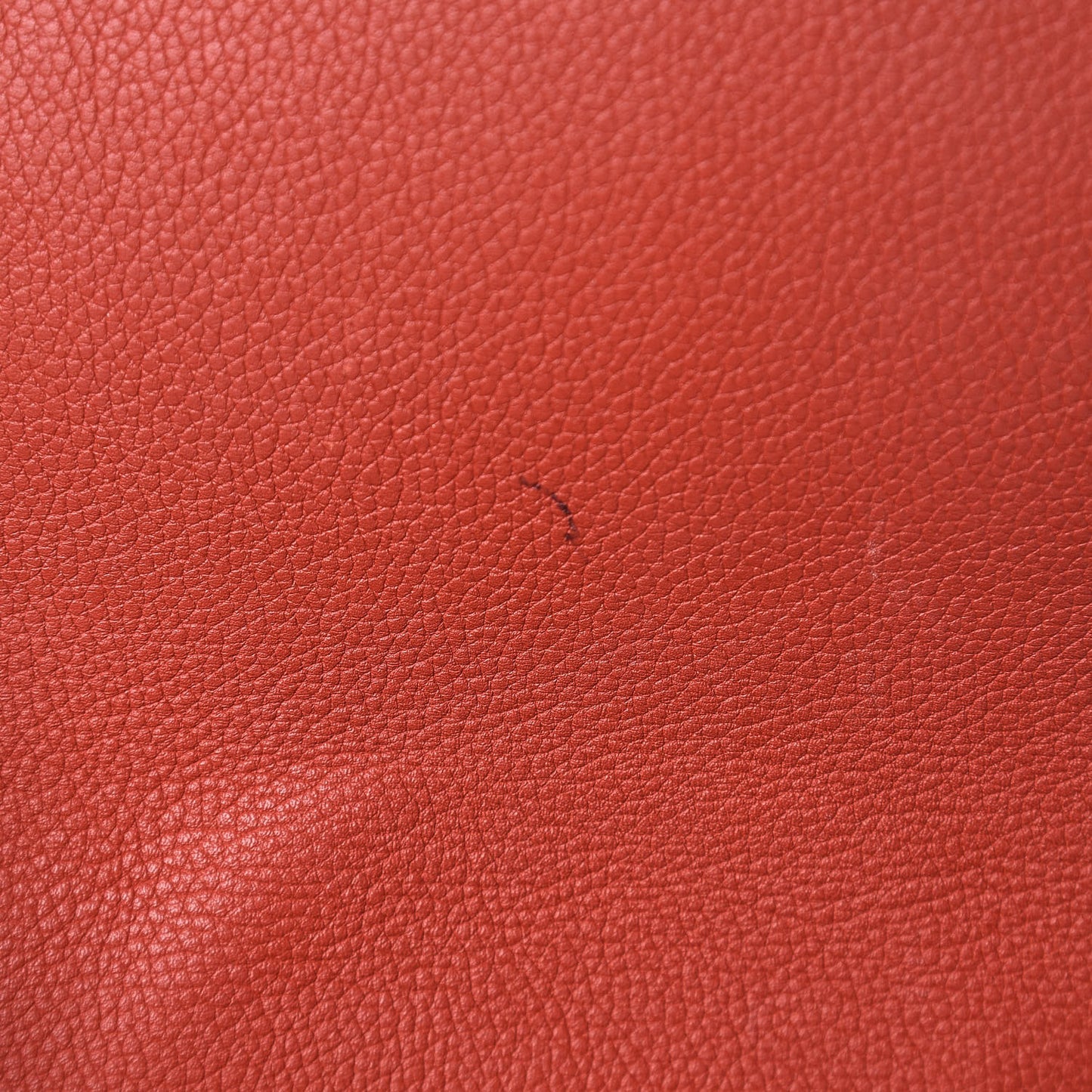 Monogram Eden PM Orient