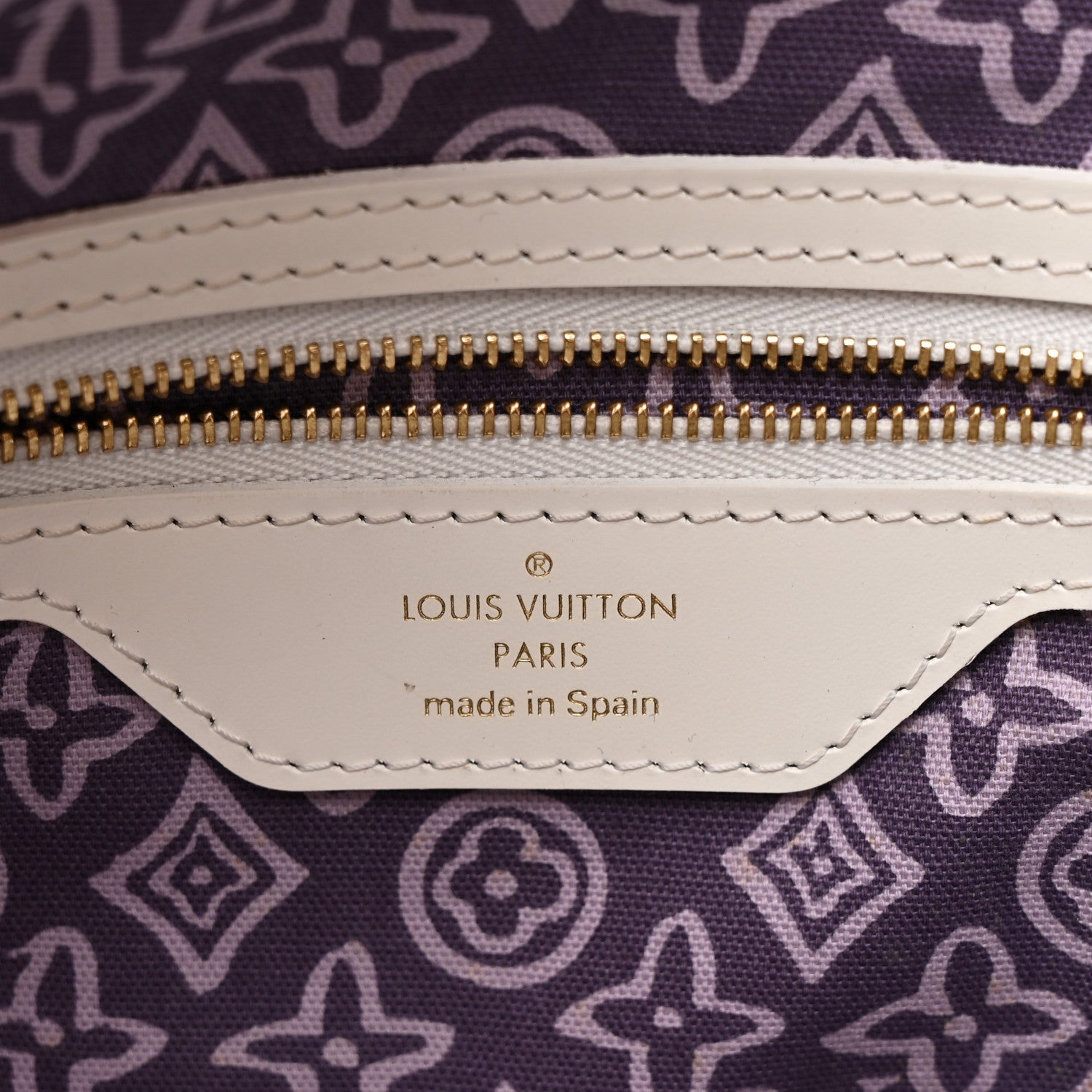 Louis Vuitton Tahitienne Cabas PM Lilac 1801731 – FASHIONPHILE