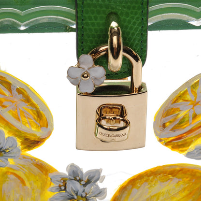 Dolce & Gabbana Plexiglass Hand Painted Lemon Shoulder Bag Green 5 of 8