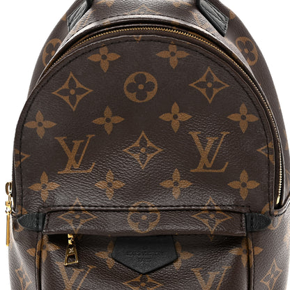 Louis Vuitton Monogram Palm Springs Backpack Mini 7 of 10