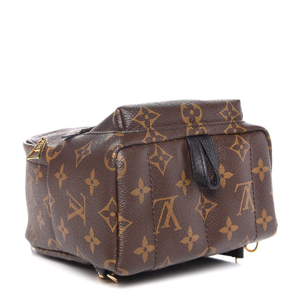 Louis Vuitton Monogram Palm Springs Backpack Mini 4 of 8