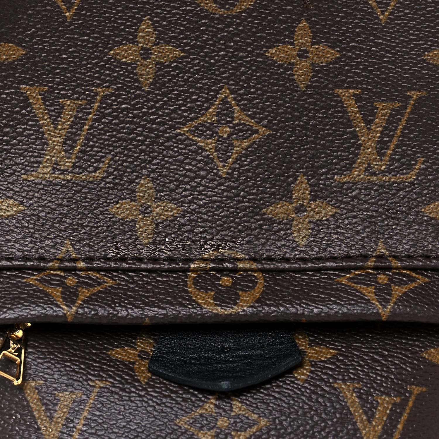 Louis Vuitton Monogram Palm Springs Backpack Mini 8 of 13