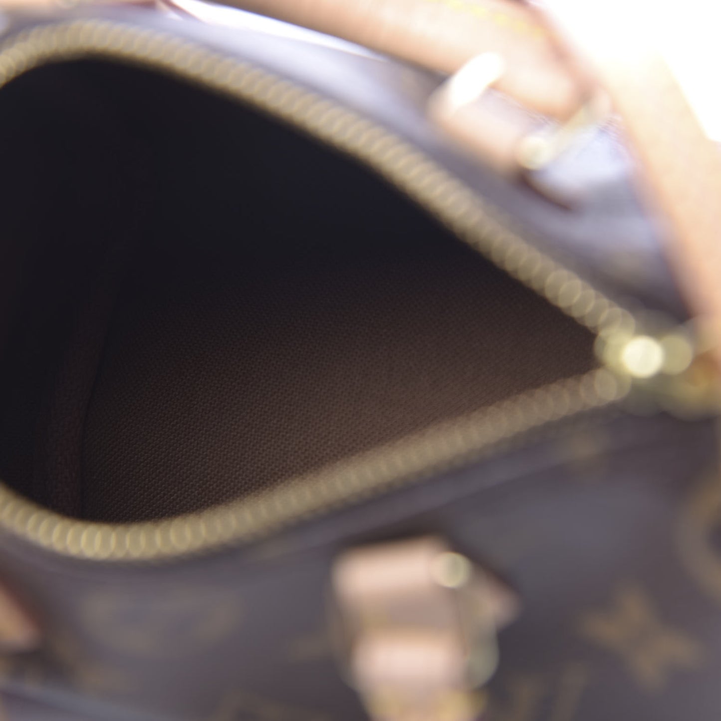 Monogram Nano Speedy