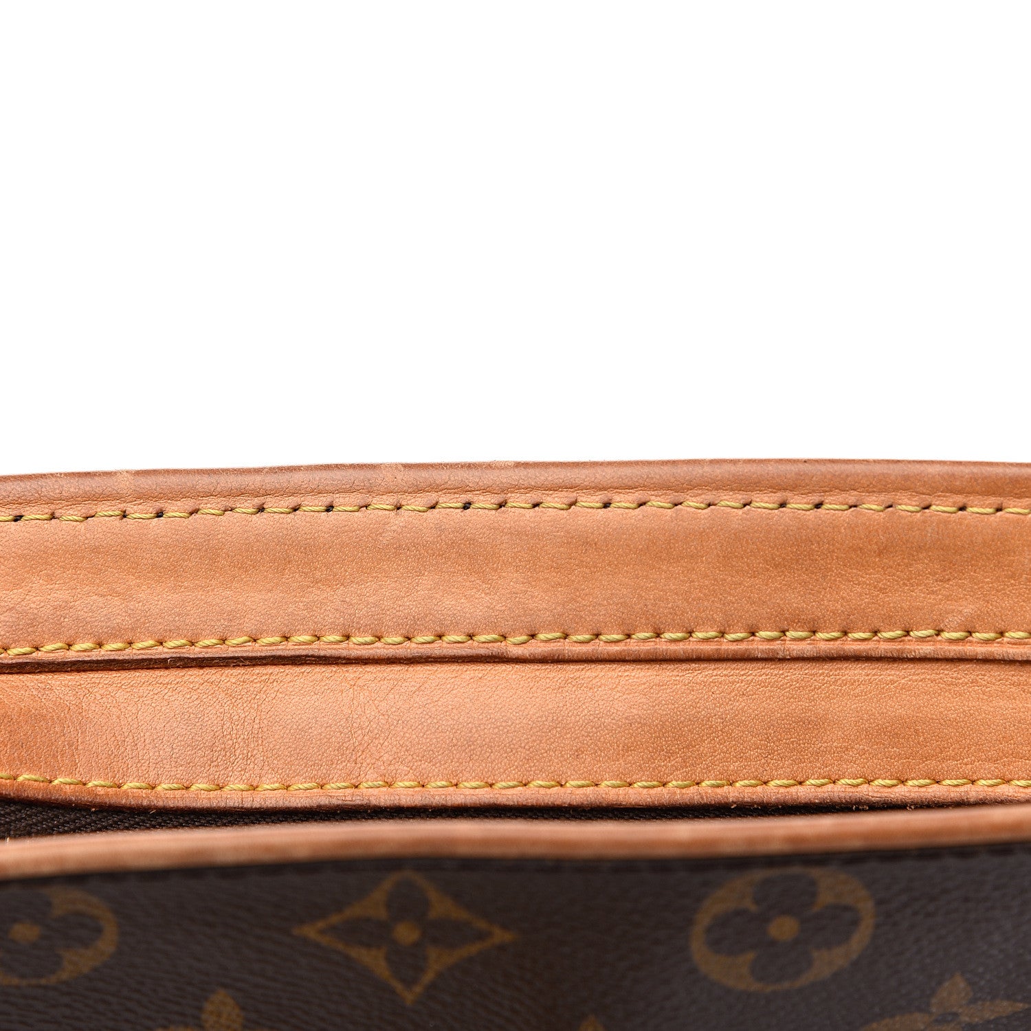 Louis Vuitton Monogram Hudson GM 6 of 12