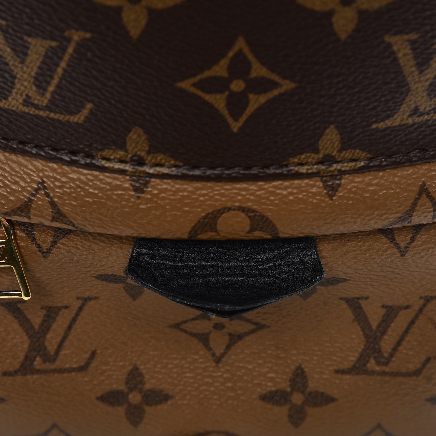 Reverse Monogram Palm Springs Backpack PM
