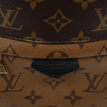 Louis Vuitton Reverse Monogram Palm Springs Backpack PM 8 of 10