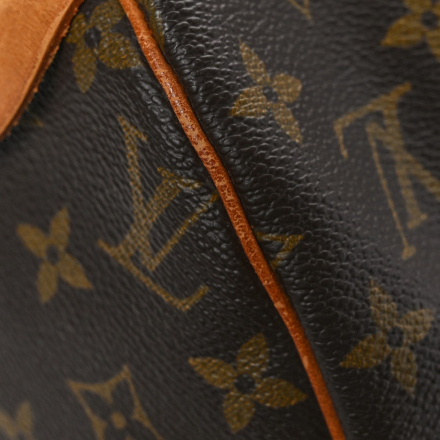 Monogram Speedy 30