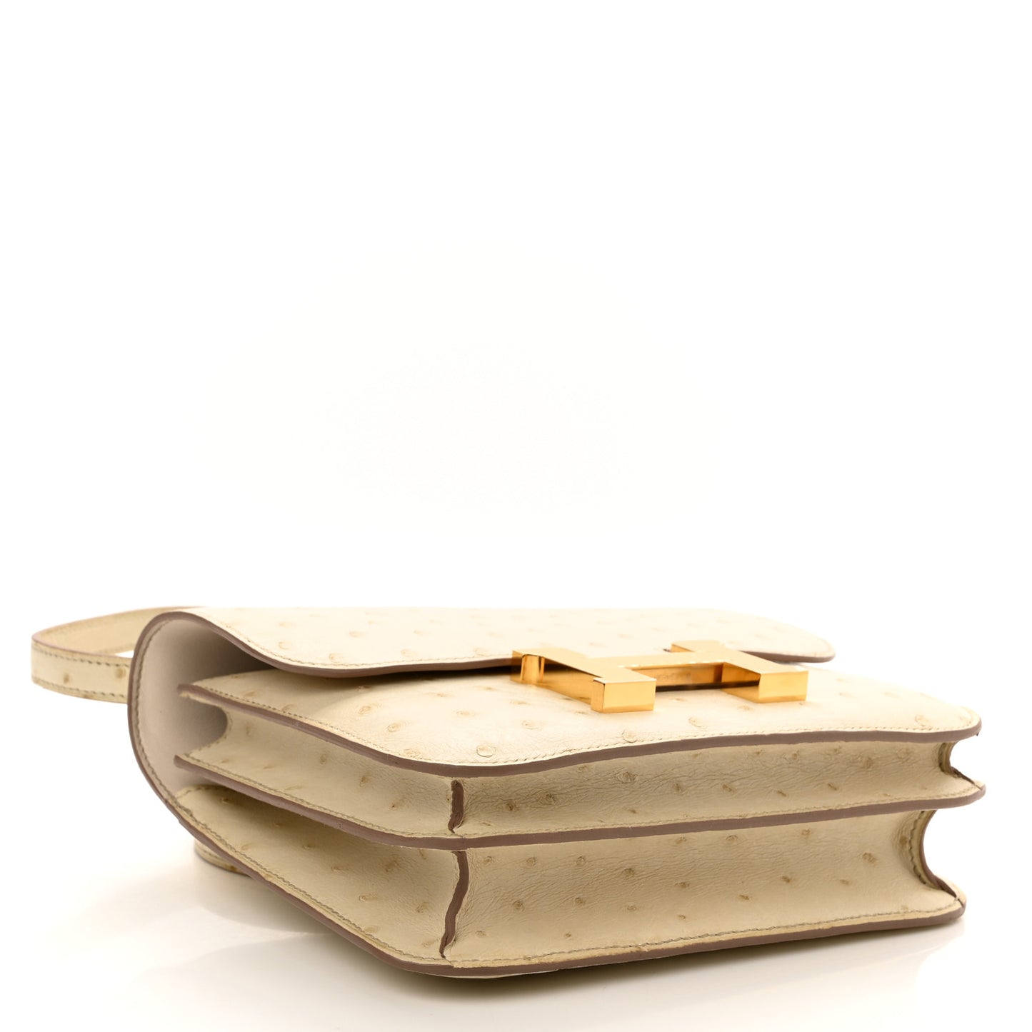 Ostrich Constance 18 Beton