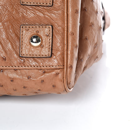 Mulberry Ostrich Bayswater Oak 13 of 13