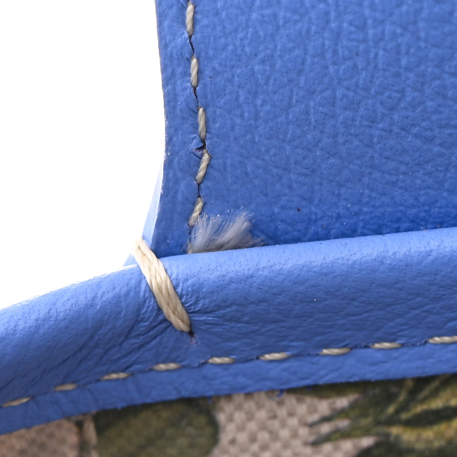 Goyard Goyardine Le Jardin Villette PM Tote Iris 11 of 11