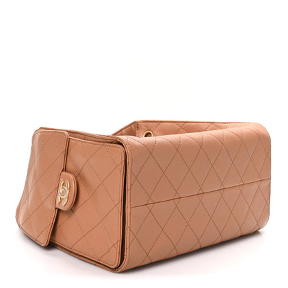 Chanel Caviar Quilted Small Chanel 25 Handbag Brown 3 of 10