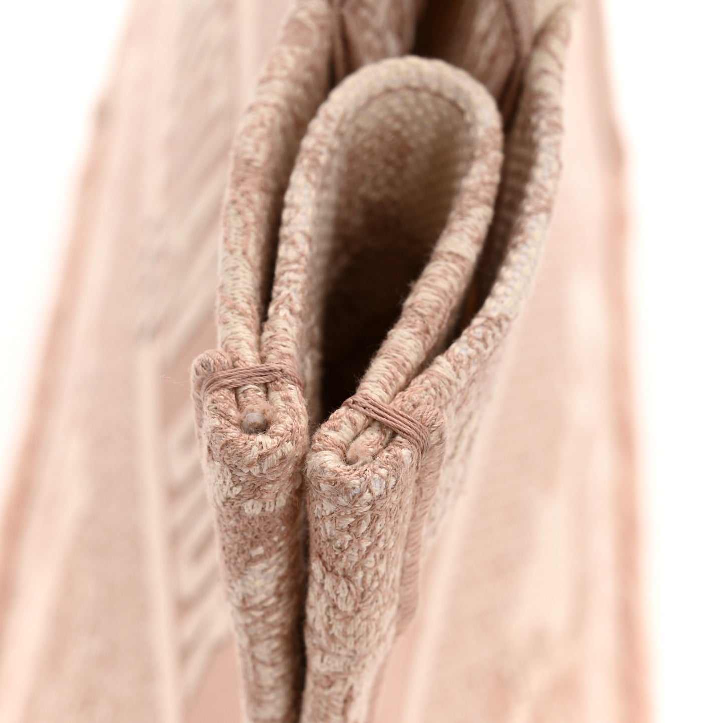 Canvas Embroidered Medium Dioriviera Toile De Jouy Book Tote Rose