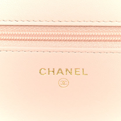 Chanel Lambskin Plexi Quilted Wallet On Chain WOC Light Beige 6 of 11