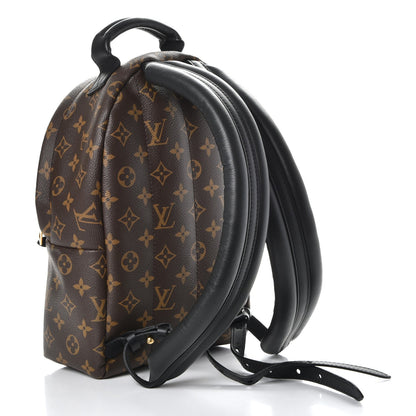 Louis Vuitton Monogram Palm Springs Backpack PM 3 of 7