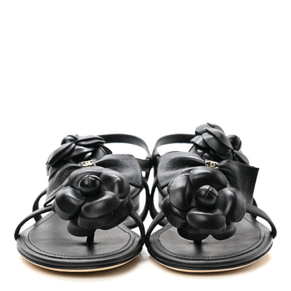 Chanel Lambskin Camellia Sandals 35 Black 2 of 8