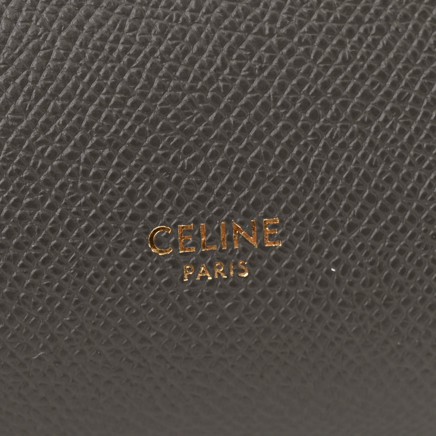 Grained Calfskin Nano Belt Bag Grey