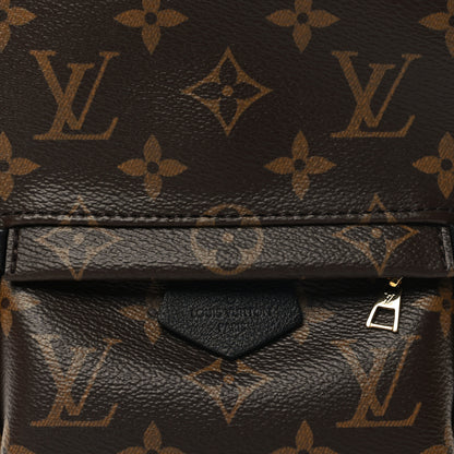 Louis Vuitton Monogram Palm Springs Backpack Mini 7 of 10