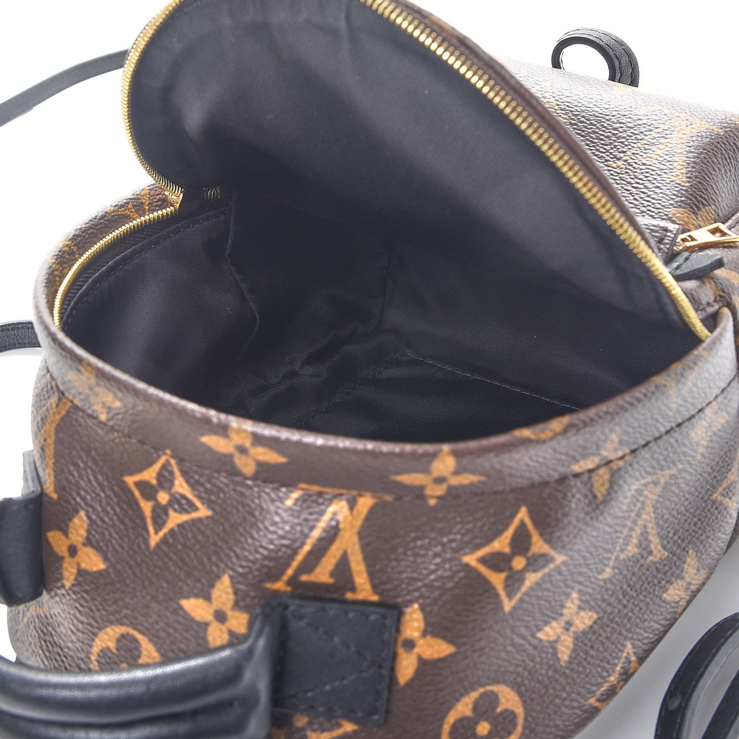 Monogram Palm Springs Backpack Mini