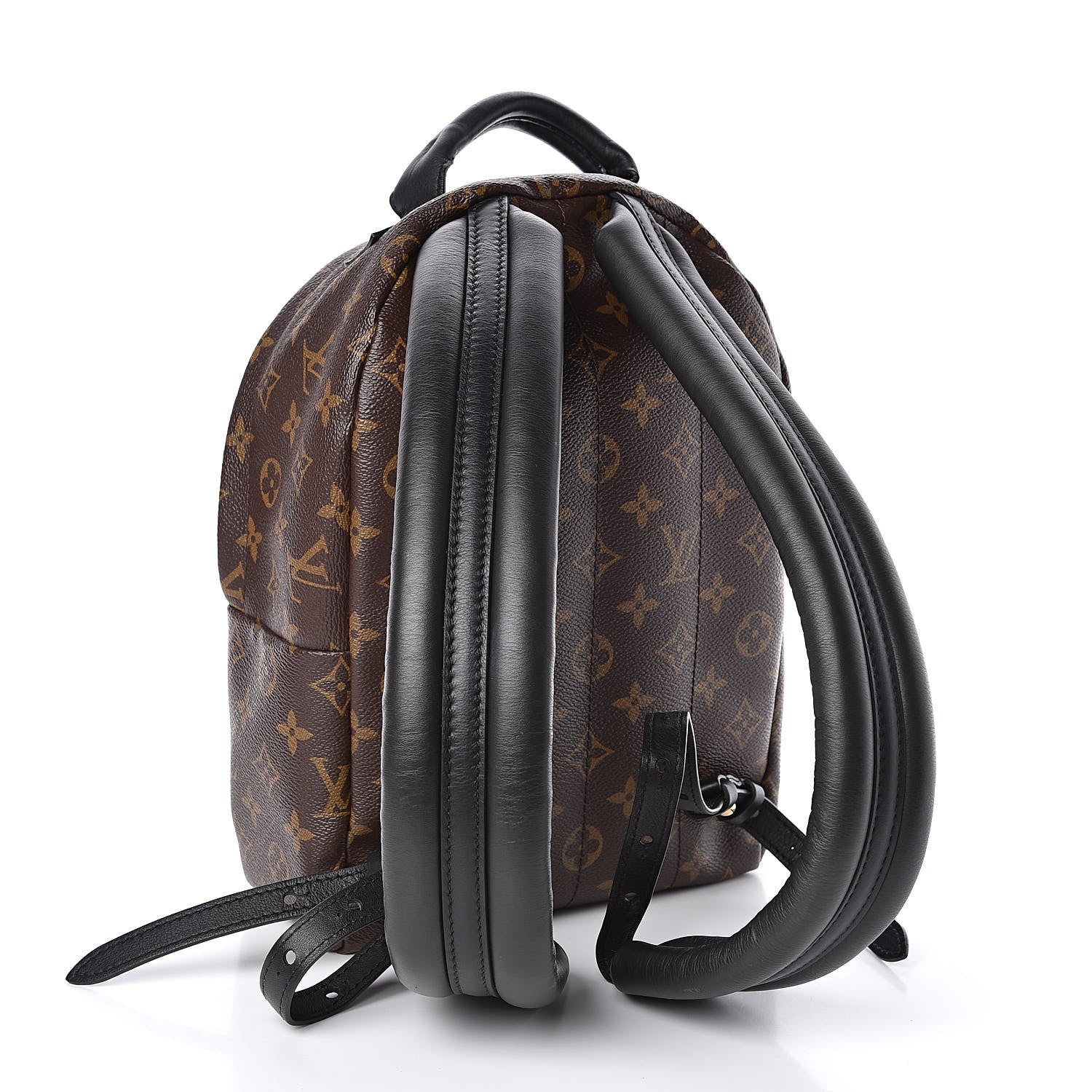 Louis Vuitton Monogram Palm Springs Backpack PM 3 of 11