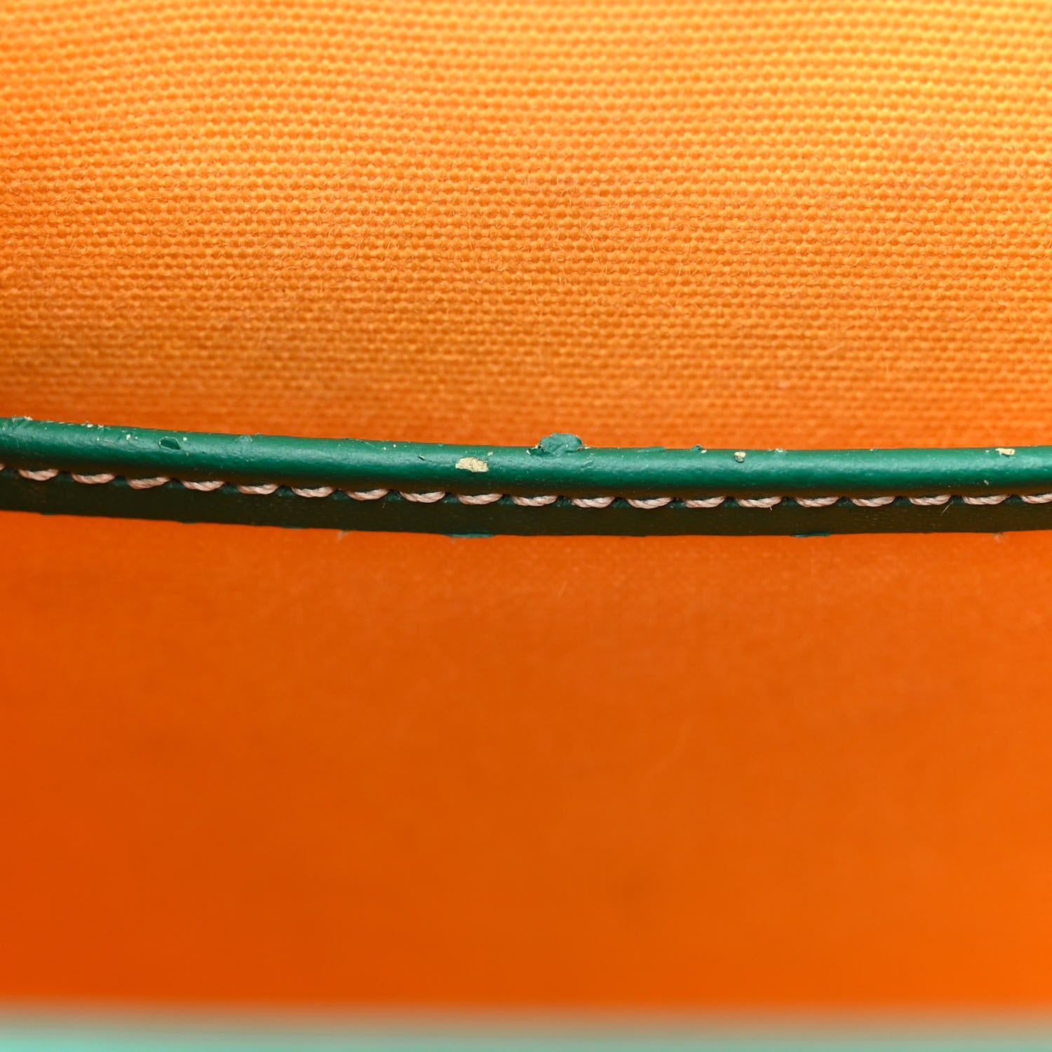 Goyard Goyardine Structure Mini Saigon Green 11 of 16