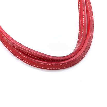Goyard Goyardine Saint Louis GM Red 20 of 20