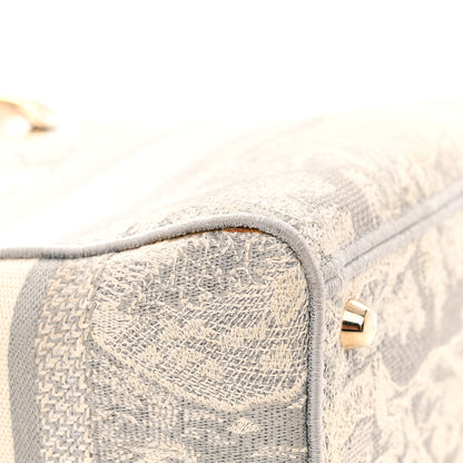 Christian Dior Canvas Toile De Jouy Reverse Embroidered Medium Lady D-Lite Gray 7 of 9