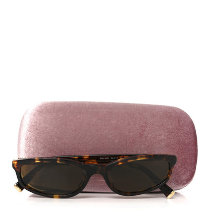 Miu Miu Acetate Cat Eye Miu Regard Sunglasses SMU A06 Tortoise Loden 7 of 7