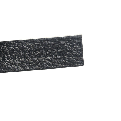 Goyard Goyardine Saint Louis PM Black 8 of 10