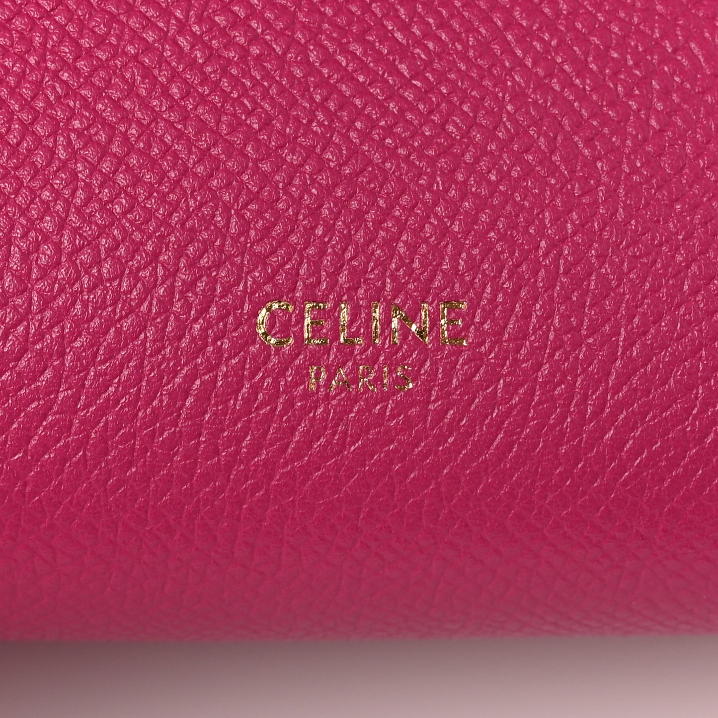 Grained Calfskin Nano Belt Bag Raspberry