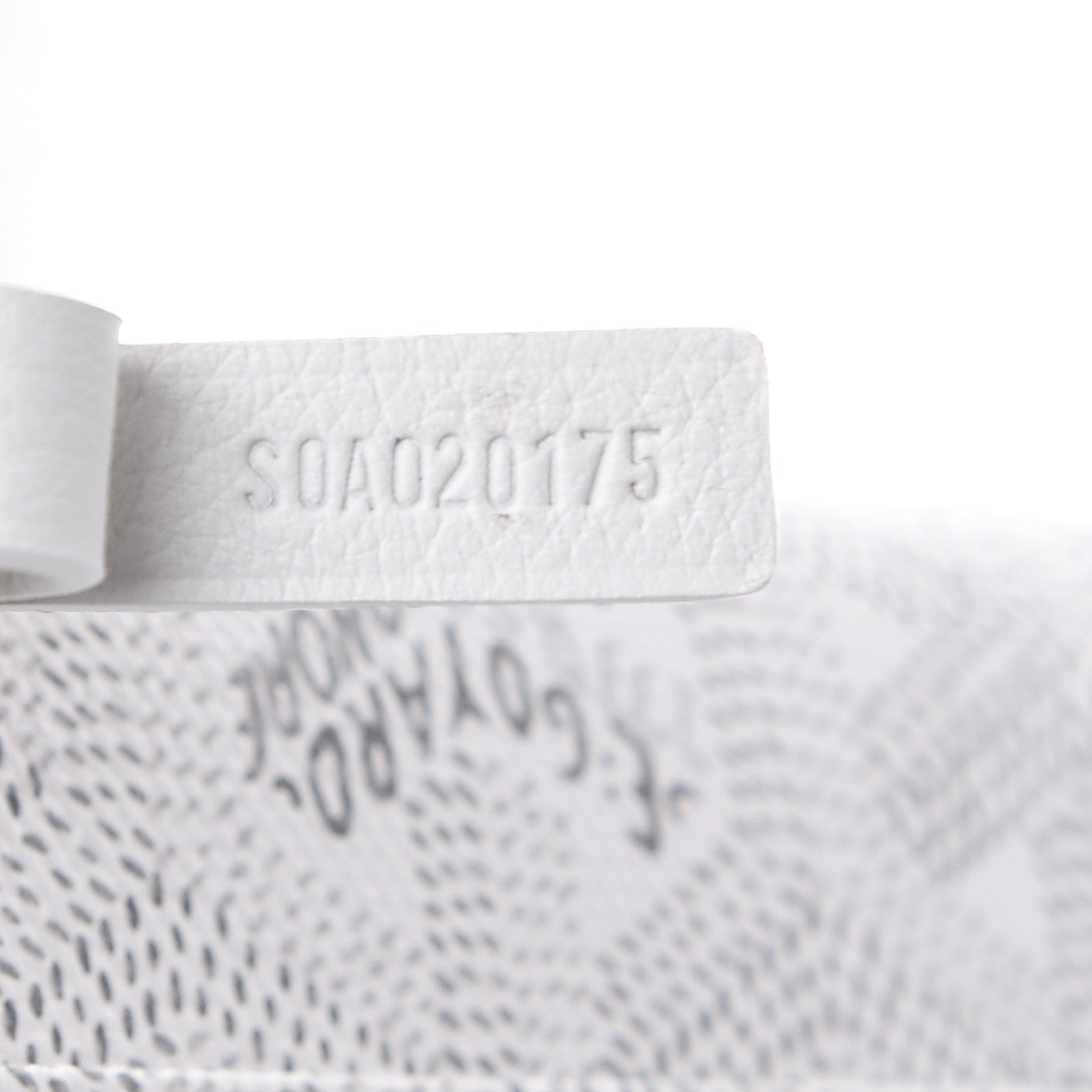 Goyard Goyardine Saint Louis PM White 10 of 10