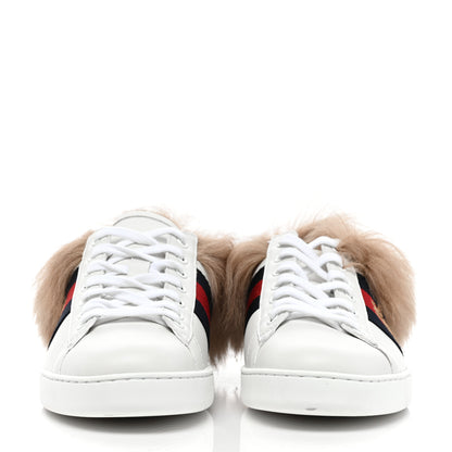 Gucci Calfskin Wool Web Bee Embroidered Womens Ace Sneakers 39.5 White 2 of 8