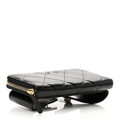 Chanel Shiny Lambskin Gusset Zip Around Waist Belt Wallet Black 9 of 13