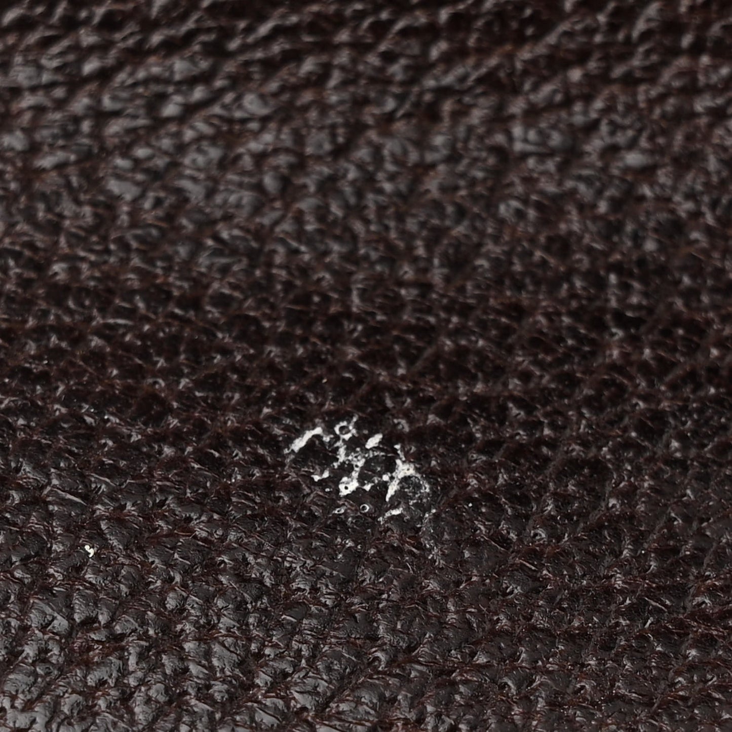 GG Monogram Flight Belt Bag Dark Brown