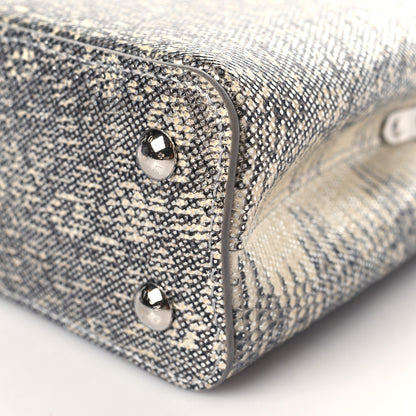 Louis Vuitton Lizard Mini Capucines Argento 8 of 9