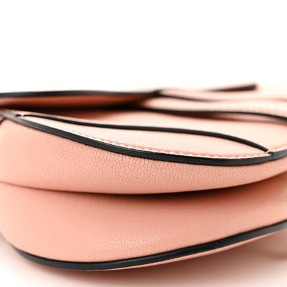 Christian Dior Goatskin Mini Saddle Bag Rose Des Vent 9 of 12