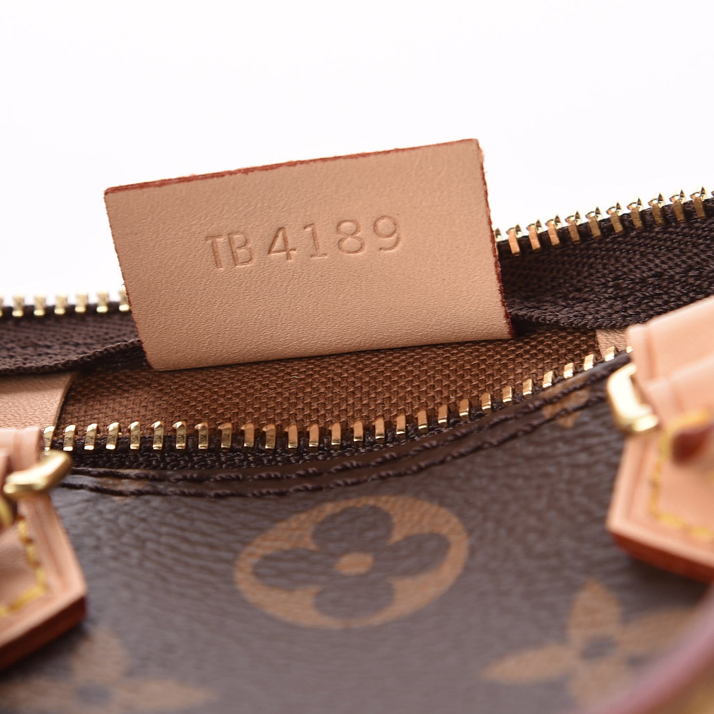 Monogram Nano Speedy