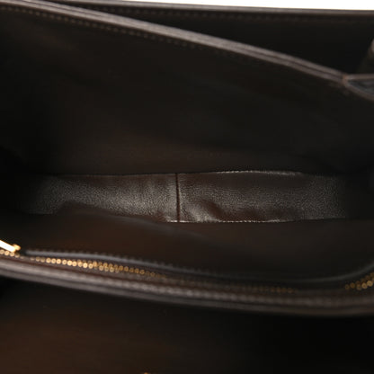 Celine Shiny Calfskin Medium Triomphe Ecorce 5 of 11