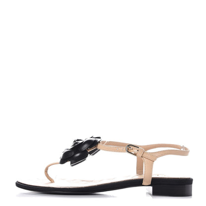 Chanel Lambskin Camellia Thong Sandals 38 Beige Black 1 of 7